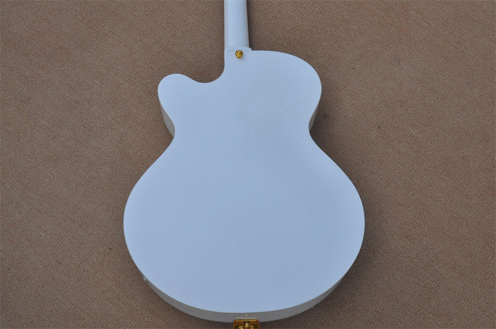 ZQN Series Hollow Body Electric Guitar (ZQN0091)
