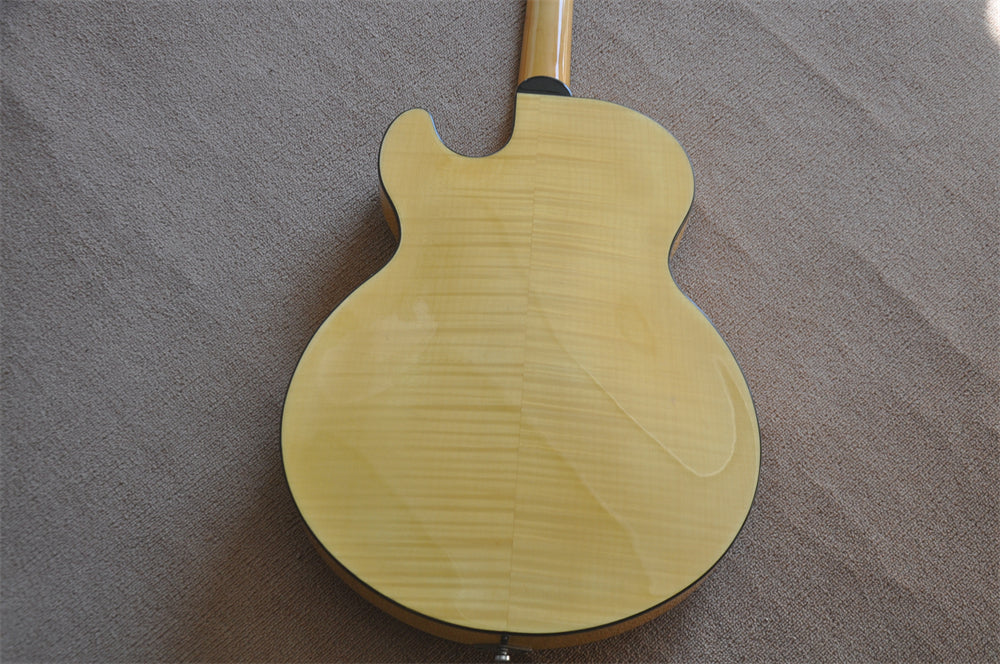 ZQN Series Hollow Body Electric Guitar (ZQN0164)