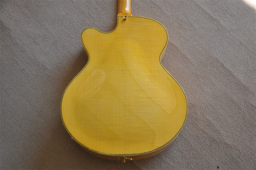 ZQN Series Hollow Body Electric Guitar (ZQN0173)