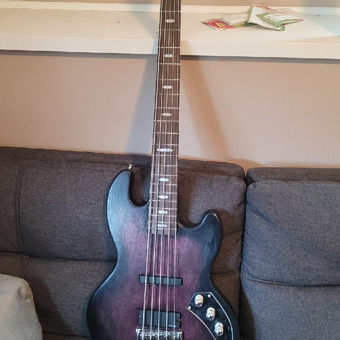 Completed Bass Guitar, Based on PBK-816 Bass Guitar Kit, Made by Order #10384, Rob Parkos (USA)