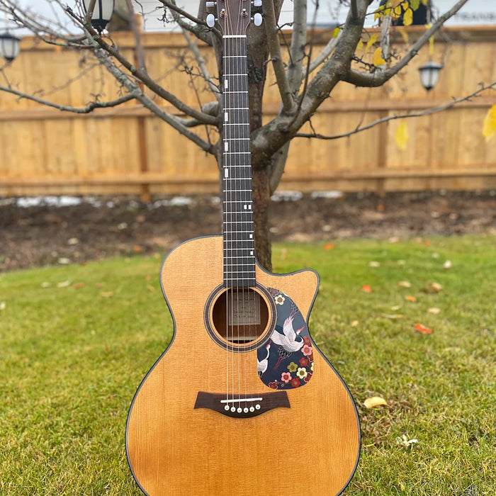 PFA-953 DIY Acoustic Guitar Kit, Finished Guitar Photos, made by Derrick Hardy (Canada).