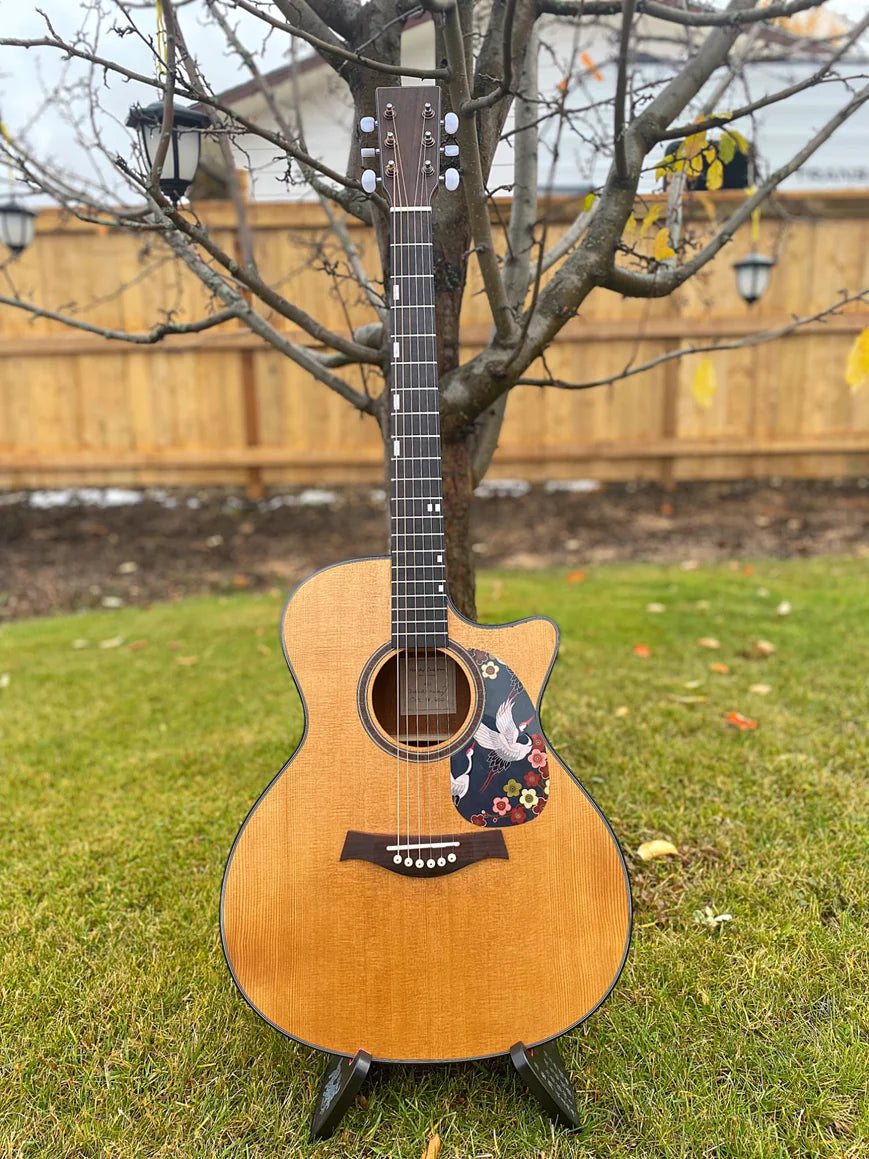 PFA-953 DIY Acoustic Guitar Kit, Finished Guitar Photos, made by Derrick Hardy (Canada).