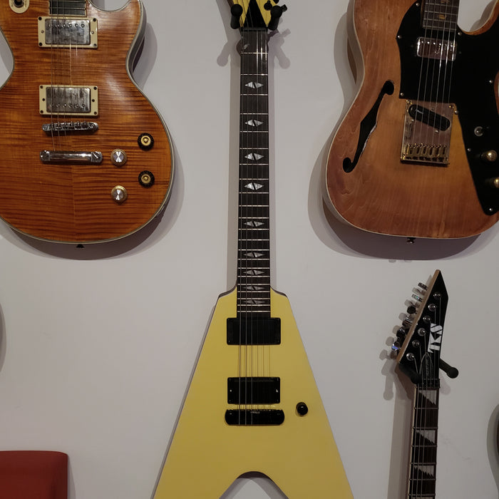 #14078 order, PFV-903 Custom Design Guitar Kit, made by Thomas Walter (Germany)