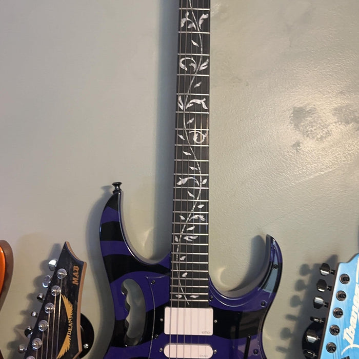 Finished Guitar Photos, Based on PIB-015 Kit, made by Steven Daemicke (USA)