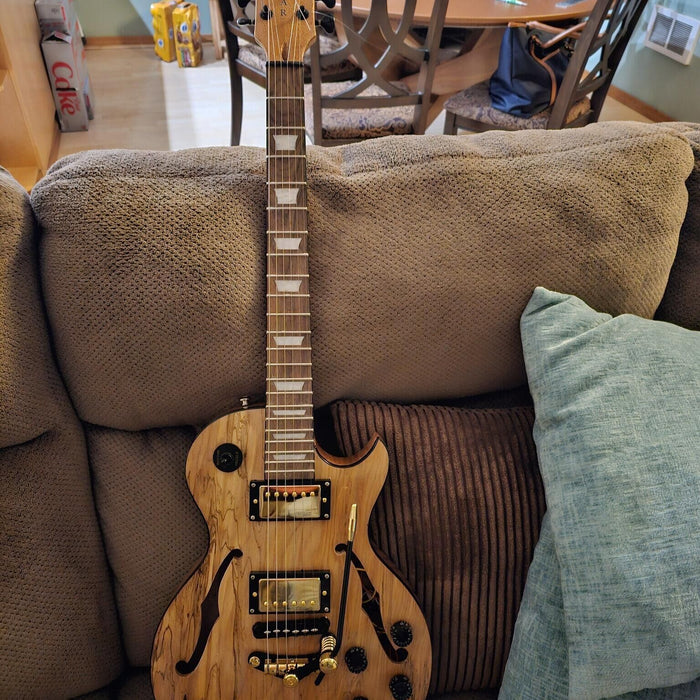 Completed Guitar Photos, Based on PLP-525 Kit, Made by Order #19346, Gregory Rasmussen (USA)