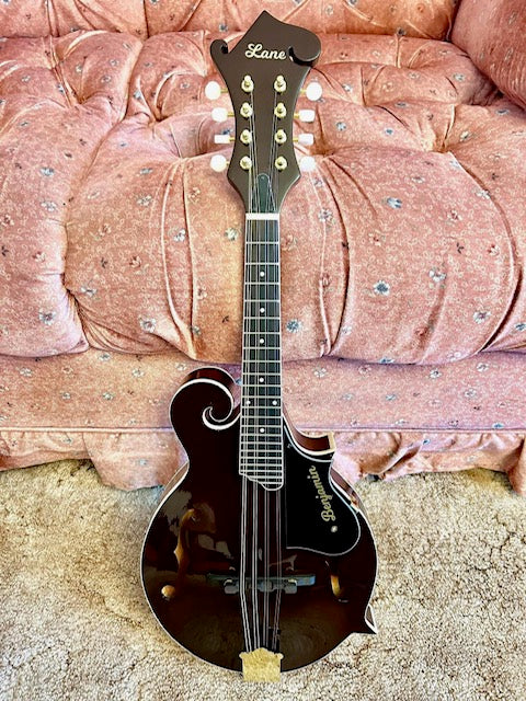 Building & Completed Mandolin Photos, Based on PMB-900S Mandolin Kit, Made by Doug Lane (USA)