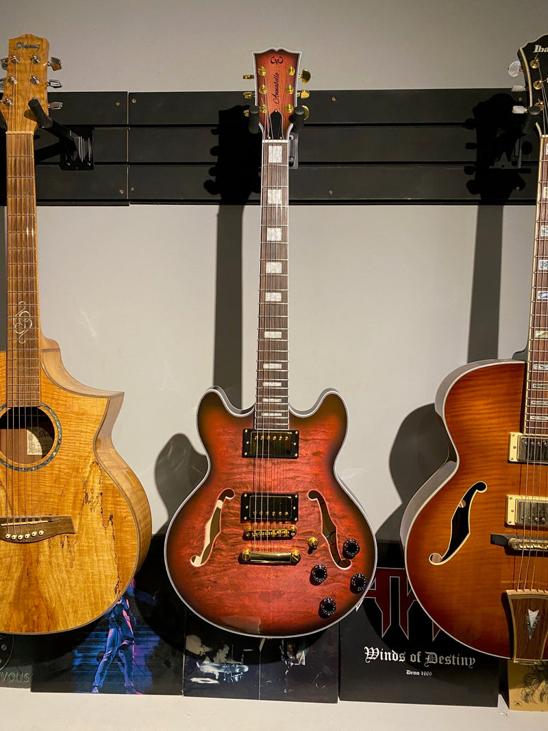 Semi Hollow Body Small Size ES-335 DIY Electric Guitar Kit (PES335-59)