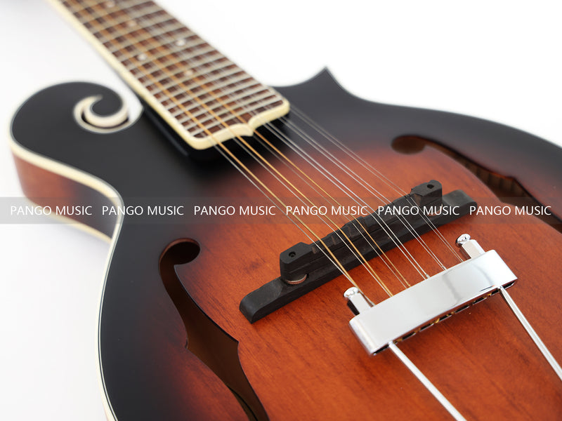 12-String F-Style Electric Mandolin with Piezoelectric Mandolin Pickup (PMF-609E)
