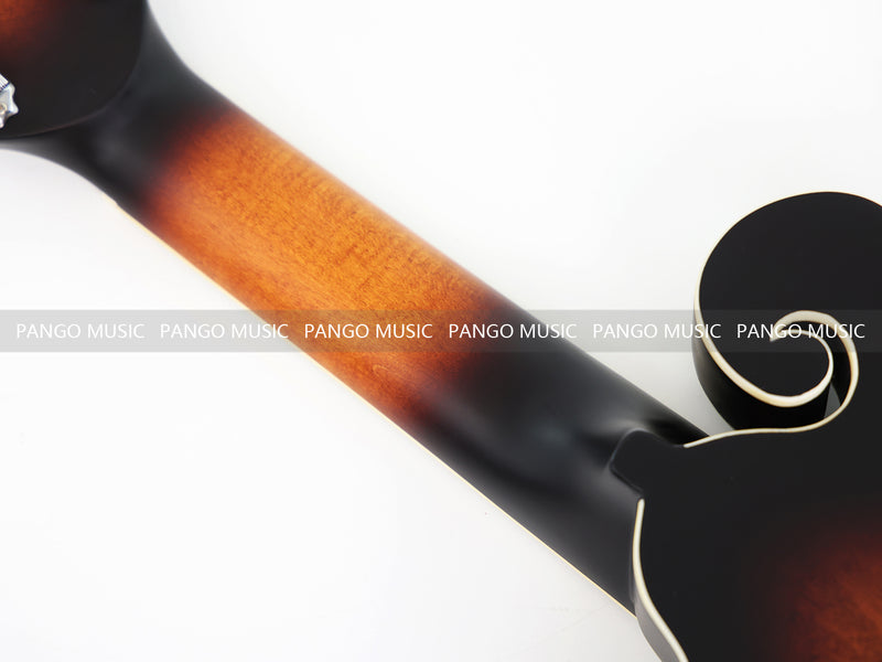 12-String F-Style Electric Mandolin with Piezoelectric Mandolin Pickup (PMF-609E)