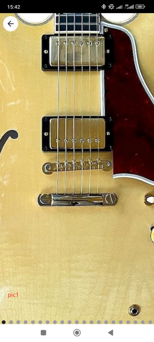 PES335-60 Custom Design Electric Guitar Kit ( 2024-12-06 )
