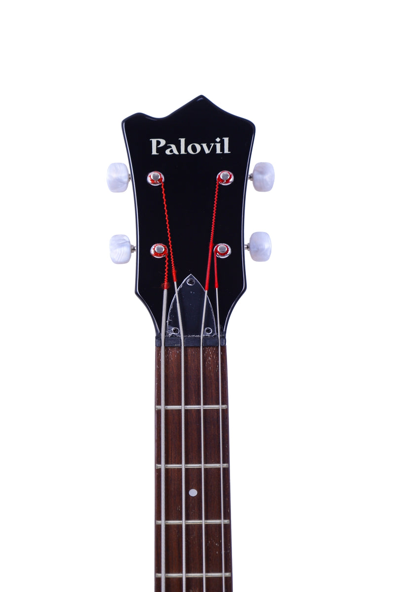 4-String Semi-Hollow Body Electric Bass Guitar Set with Gloss Black Finish (PHY-166)