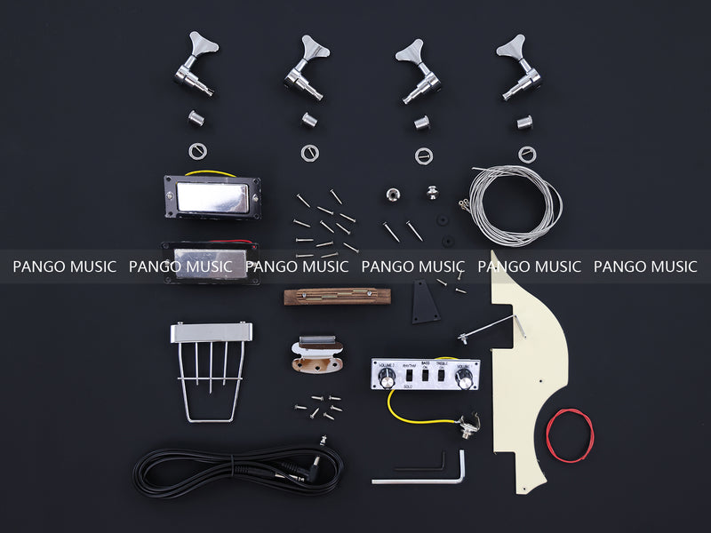 4-String Hollow Body DIY Electric Bass Guitar Kit (PVB-098)