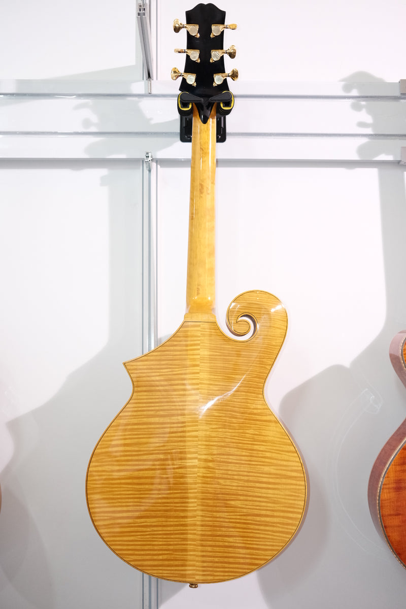 All Handcraft Hollow Body Archtop Mandolin Electric Guitar (PYZ-1837)