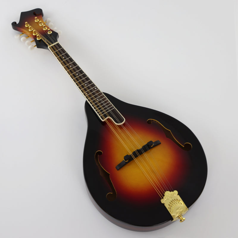 All Solid Wood A-Style Mandolin (PMA-003, Shanghai Music Show Sample)