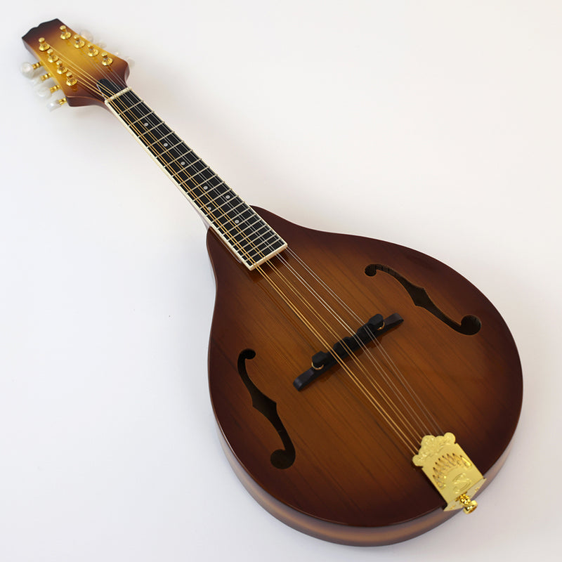 All Solid Wood A-Style Mandolin (PMA-005, Shanghai Music Show Sample)