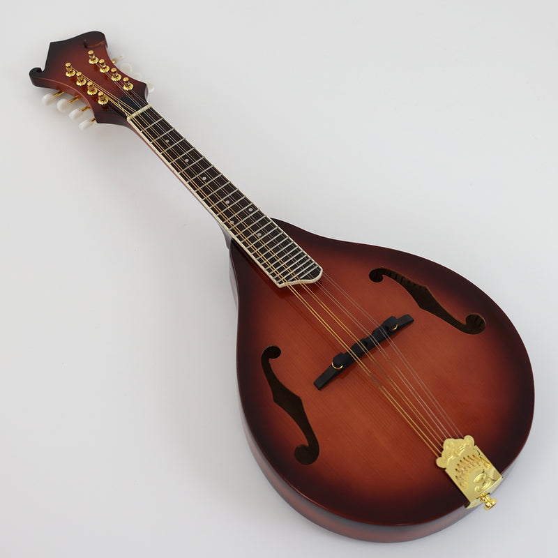 All Solid Wood A-Style Mandolin (PMA-015S, Shanghai Music Show Sample)