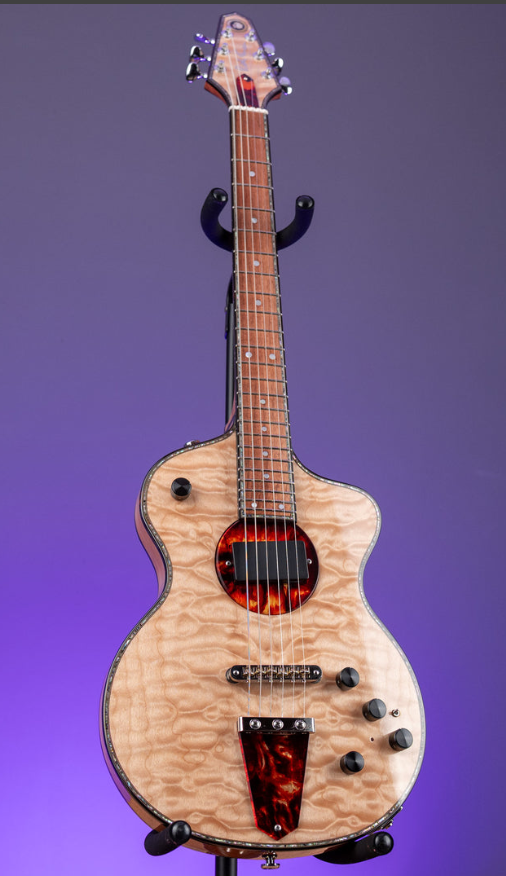 Custom Design Electric Guitar (2025-04-30)