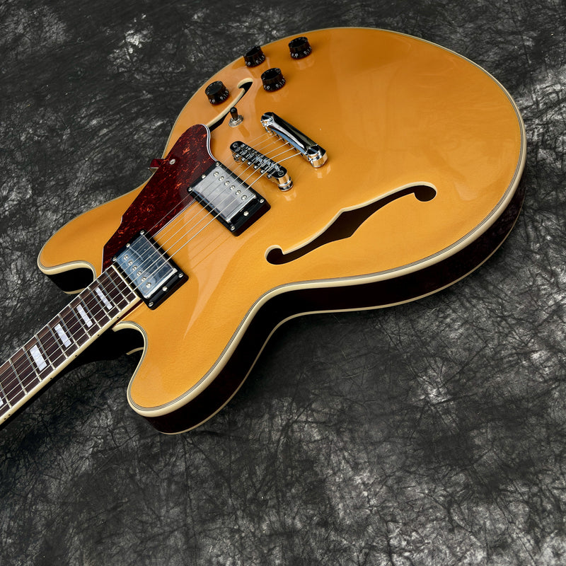 ES-Style Semi-Hollow Body Electric Guitar with Gold Gloss Metallic Finish (YMZ-143X)
