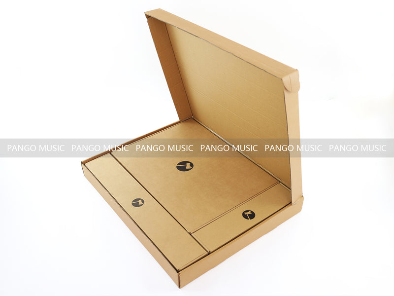 Explorer & Flying V Style DIY Electric Guitar Kit Fast Shipping Packing (PC-003, Not for Sale)