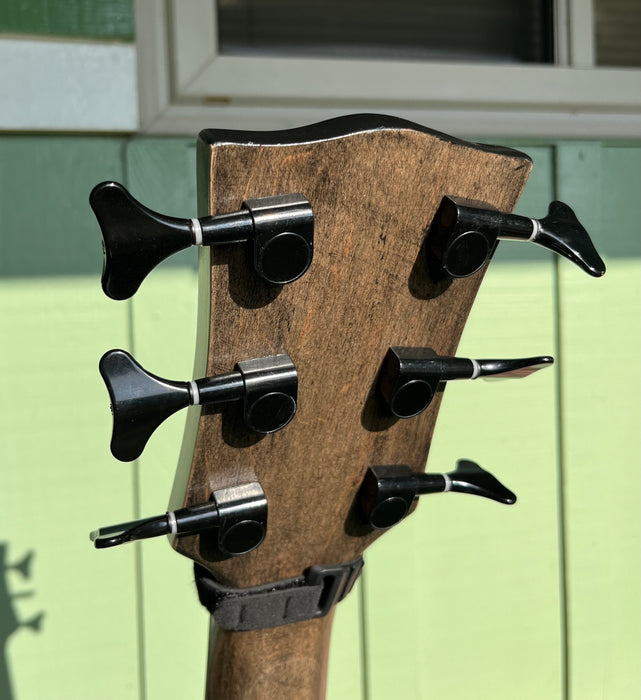 6 Strings DIY Electric Bass Kit (PTM-067-02)