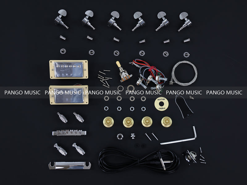 LP Standard DIY Electric Guitar Kit with Flamed Maple Top (LRF-048, Limited Edition)