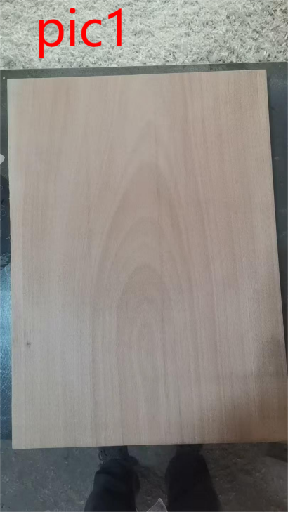 Custom Electric Guitar Kit (2026-03-24)