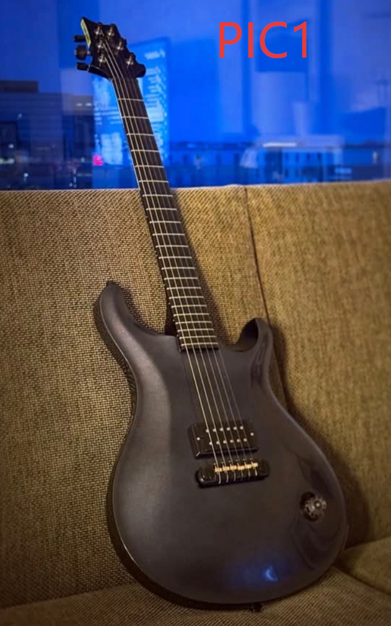 Custom Electric Guitar kit (2026-06-29)