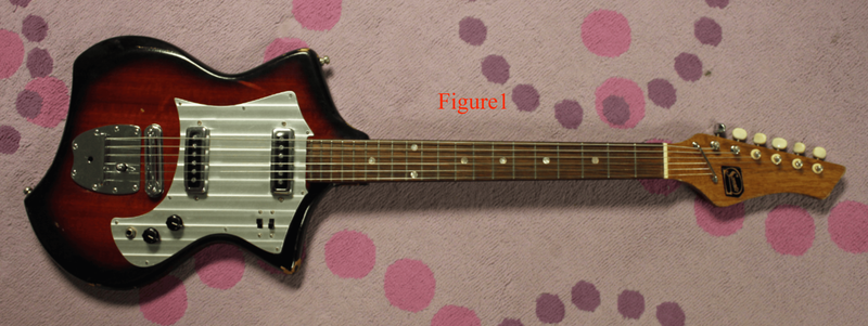 Custom Electric Guitar Kit (2026-09-22)