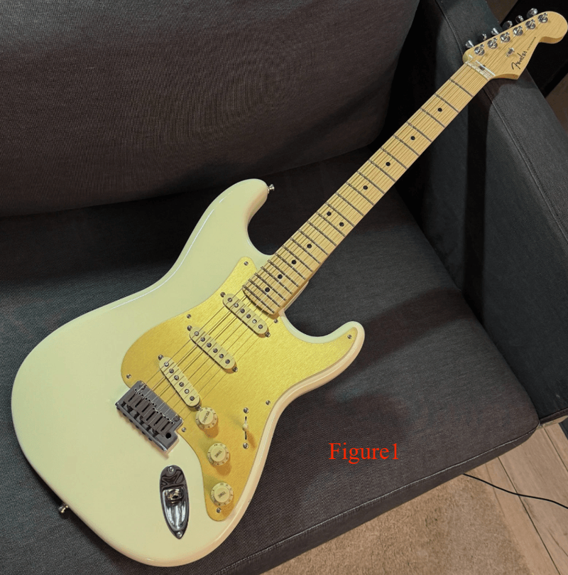 Custom Electric Guitar (2026-10-19)
