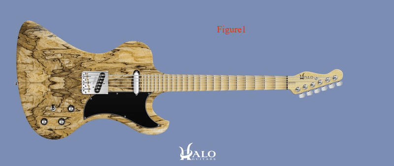 Custom Electric Guitar Kit (2026-10-08)