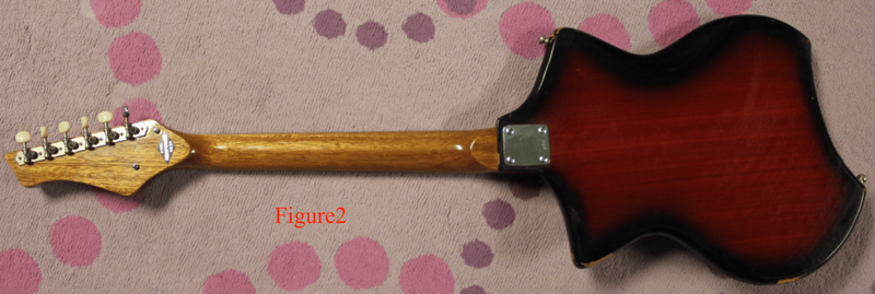 Custom Electric Guitar Kit (2026-09-22)
