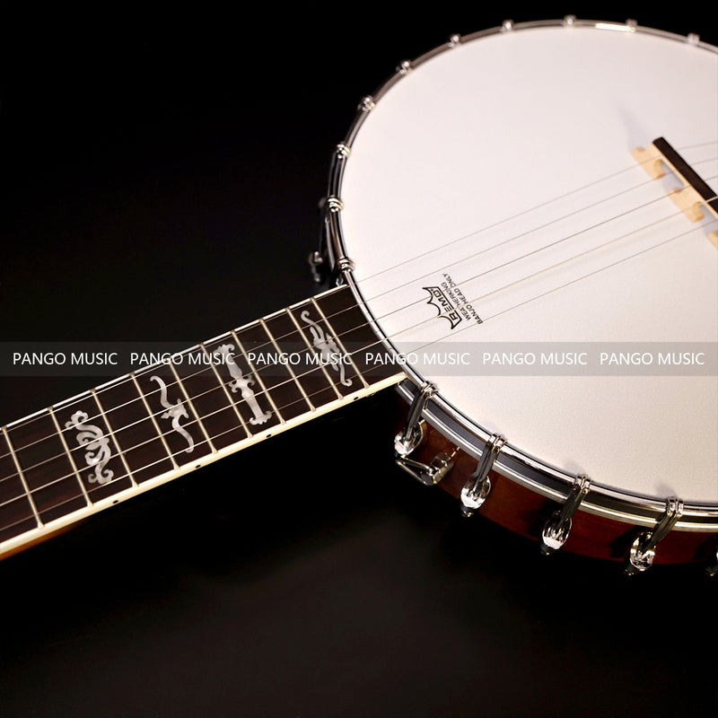 PANGO MUSIC 5-String Banjo (BJ5-24)