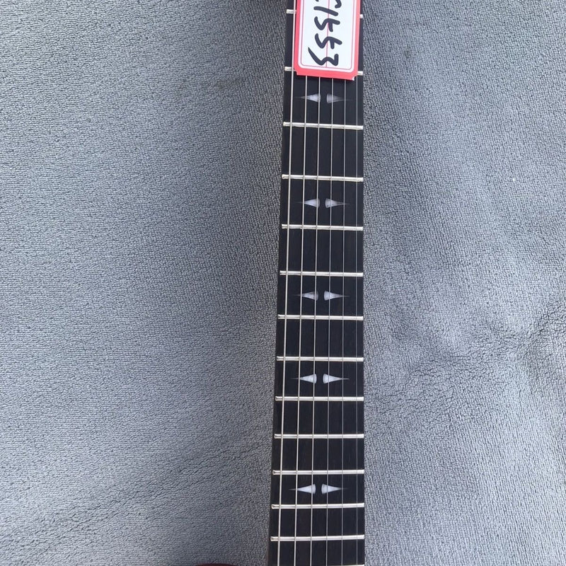 Michael Kelly LP Style Electric Guitar (MKL-01)