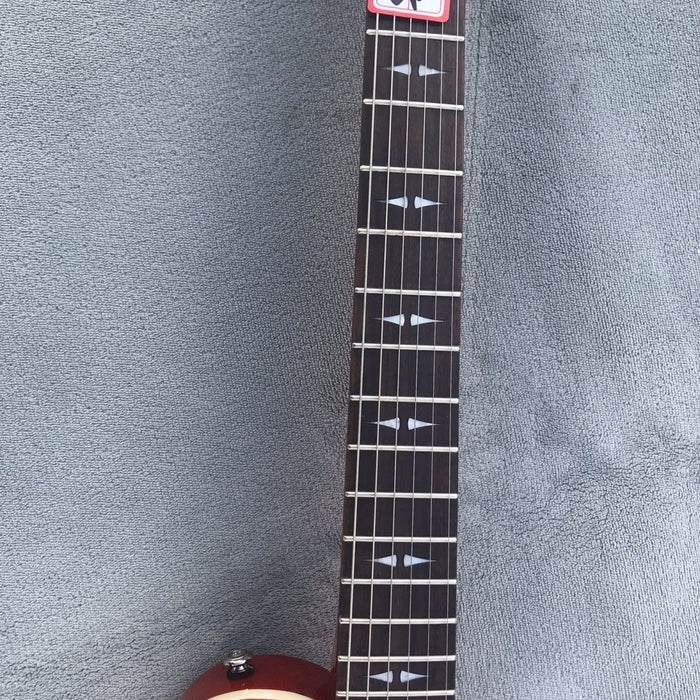 Michael Kelly LP Style Electric Guitar (MKL-02)