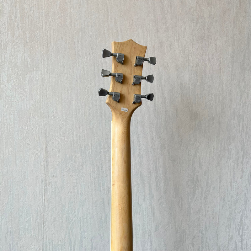 PANGO Music Skeleton Theme Electric Guitar (SDD-298)