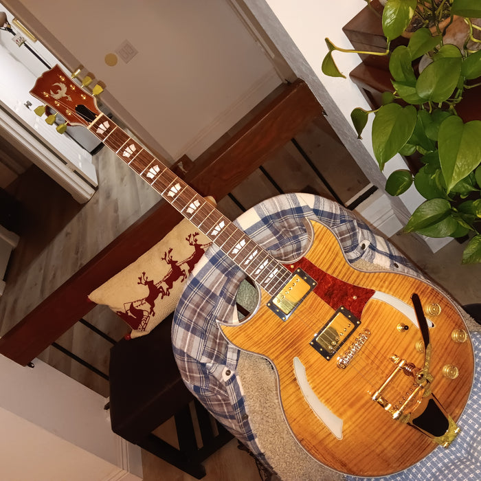 Pre-sale Hollow Body ES335 DIY Electric Guitar Kit (PHB-730)