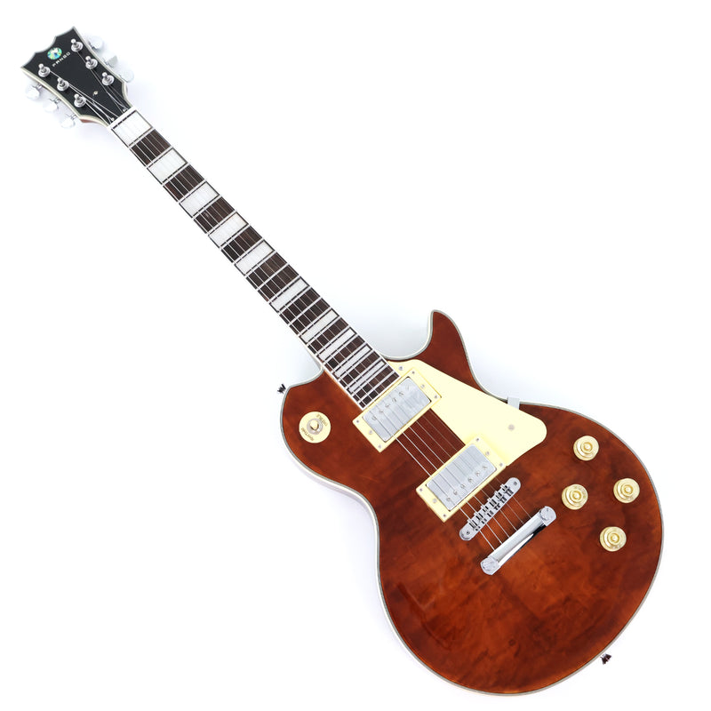 PANGO MUSIC XG Series XLP Custom Electric Guitar with Gloss Finish (XLP-129)