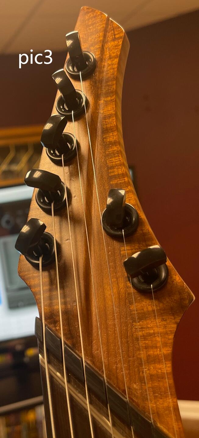 Custom Design Electric Guitar (2025-07-03)