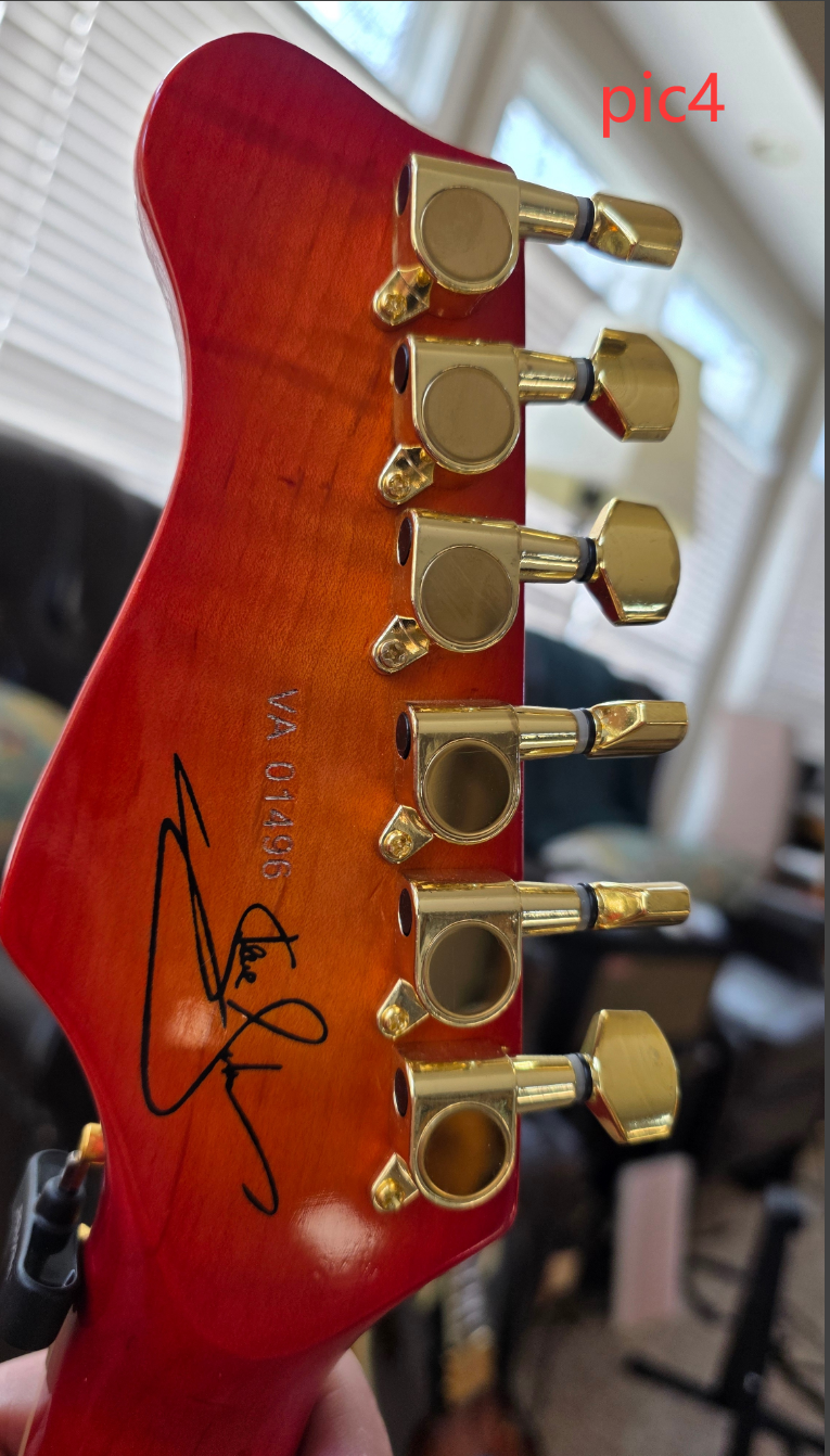 Custom Design Electric Guitar (2026-01-06)