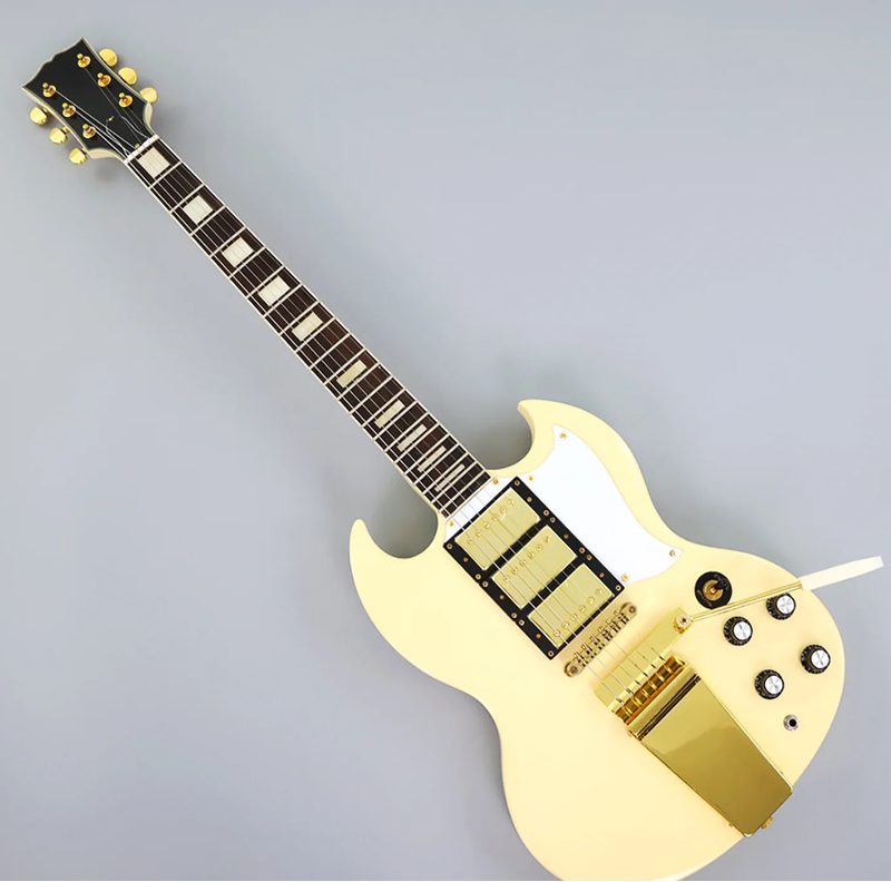 PHY-528 Custom Electric Guitar Kit (2026-09-03)