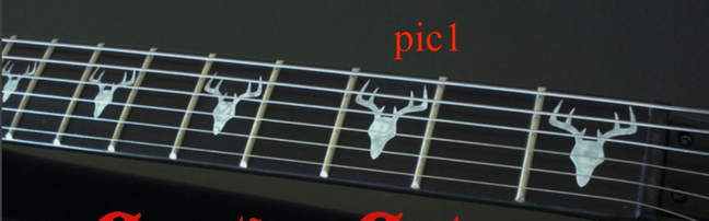 17515 Custom Electric Guitar Kit (2025-08-11)