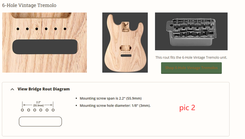 PTM-099 Custom 6-String DIY Electric Guitar Kit (2025-11-27)