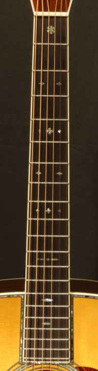 PFA-969 Custom Acoustic Guitar Kit (2025-09-30)