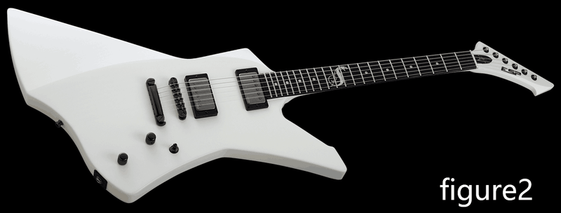 Custom Electric Guitar Kit (2026-09-04)