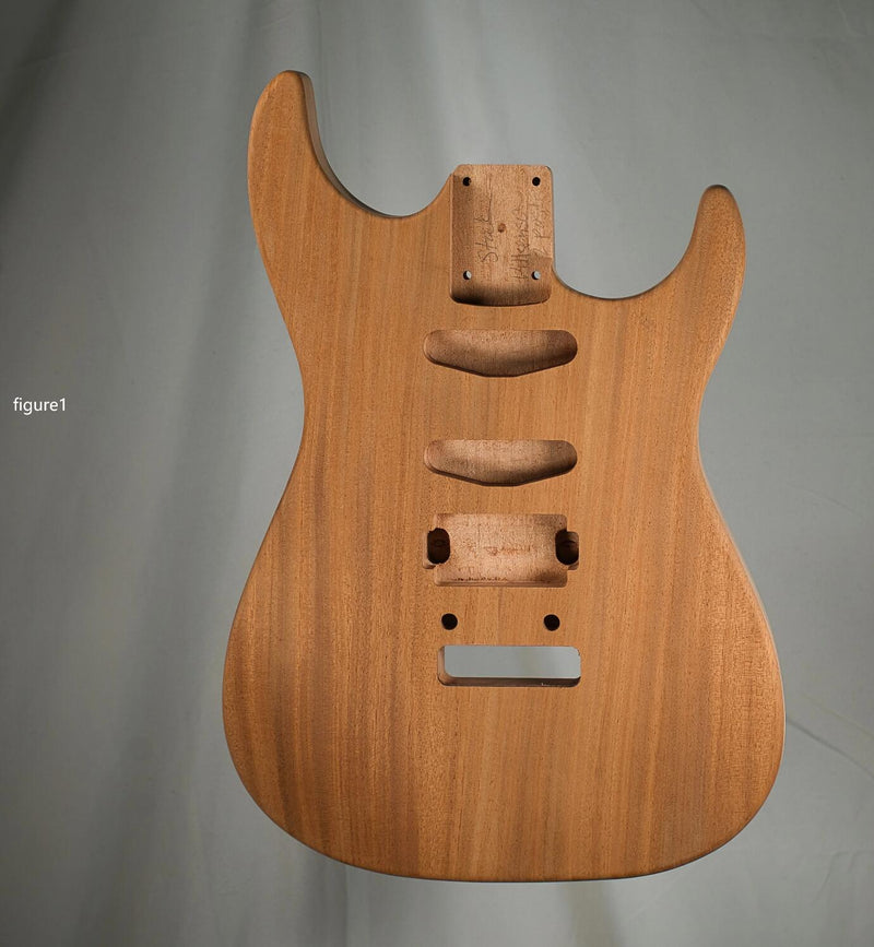 Custom Electric Guitar Kit (2026-09-18)