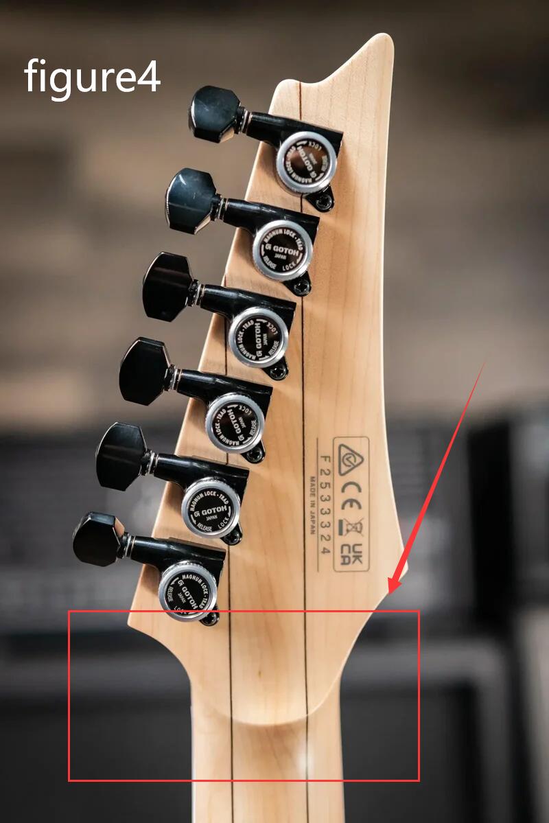 Custom Electric Guitar Kit (2026-09-18)