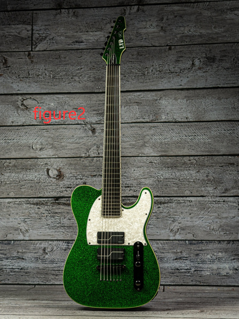 LRG-051 Custom Electric Guitar (2026-10-13)