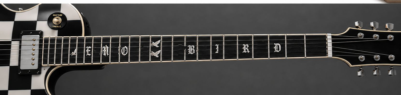 PLP-059 Custom Electric Guitar Kit (2026-08-27)