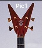 PEX-515 Custom Design Electric Bass Guitar ( 2025-03-02 )