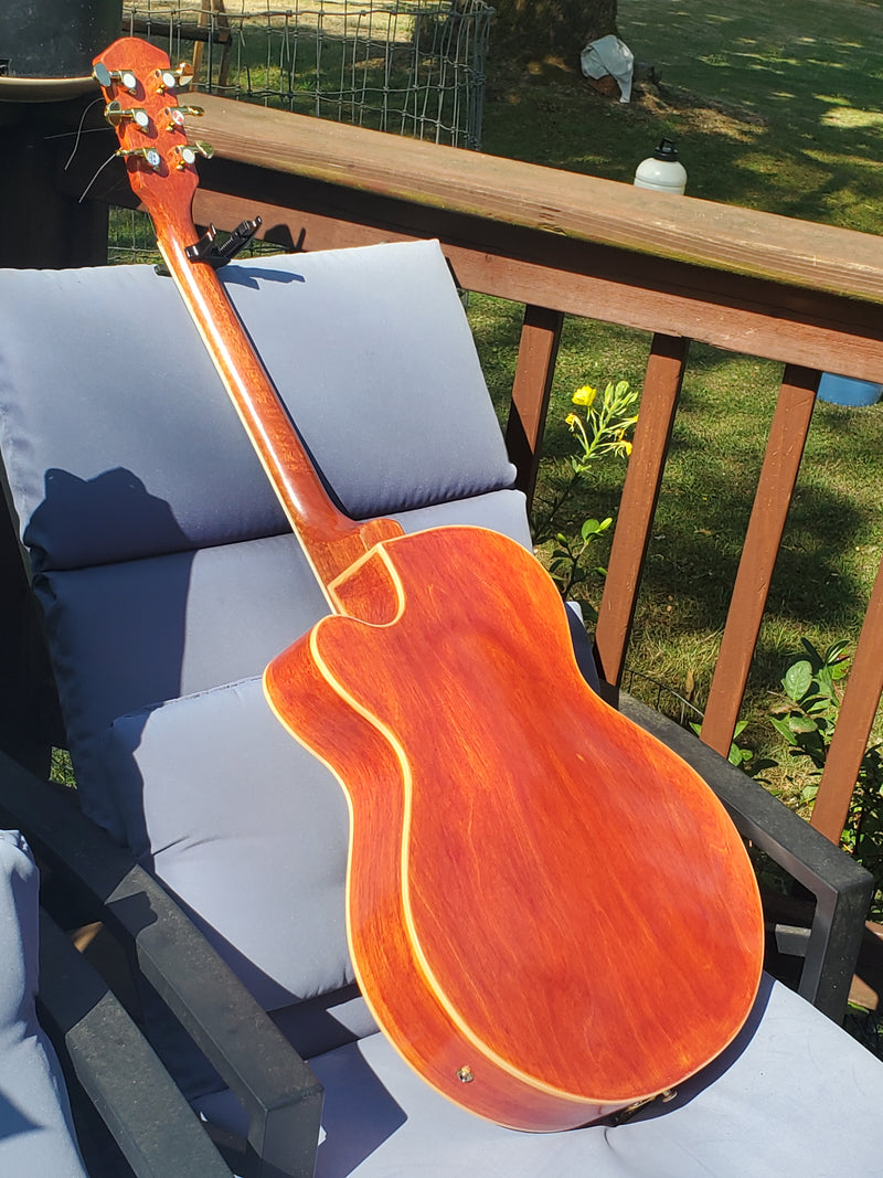 Hollow Body L5 DIY Electric Guitar Kit (PL5-924)